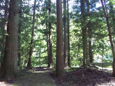 熊野神社境内