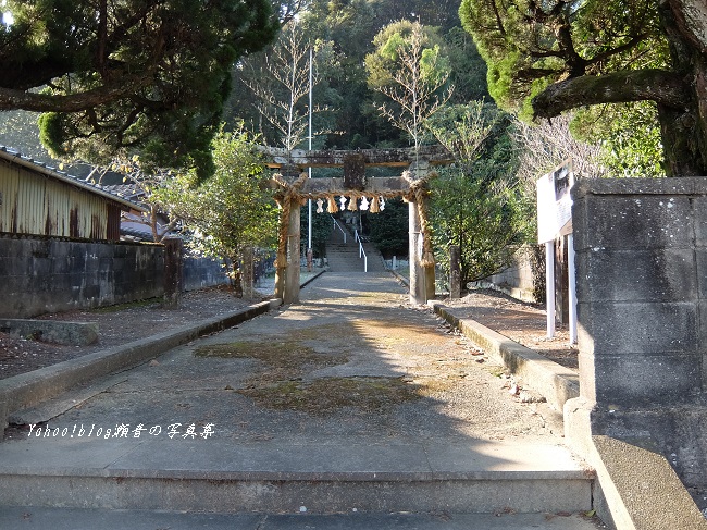 亀川熊野坐神社鳥居