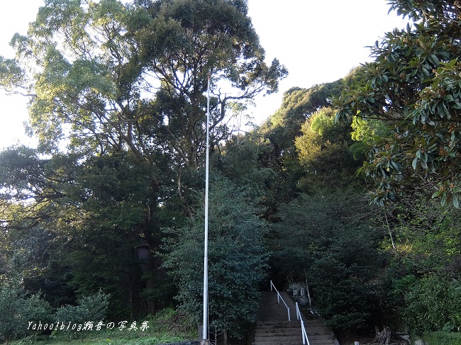 亀川熊野坐神社社叢