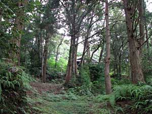 熊野神社参道