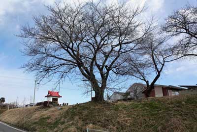 熊野神社遠景