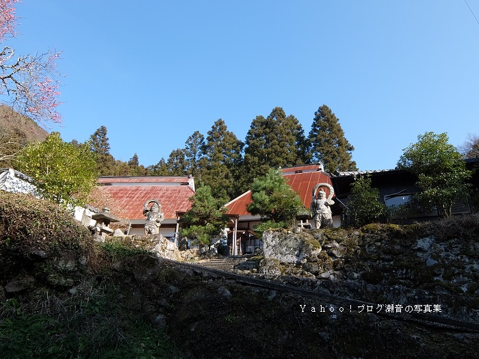 胎蔵寺仁王像