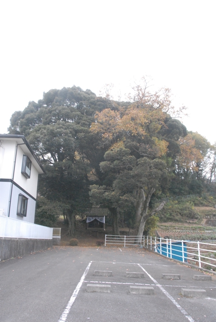 熊野神社