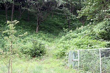 小野神社石灯籠