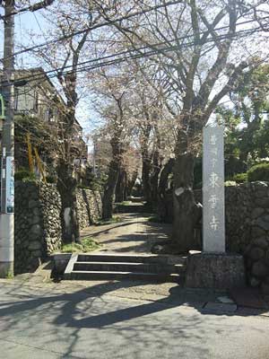 東雲寺参道