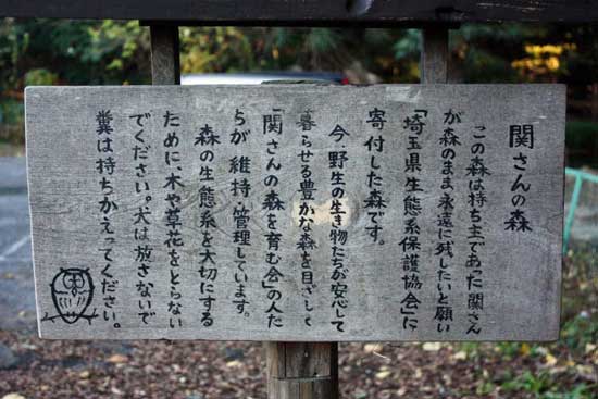 熊野権現祠