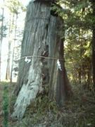 下都賀郡壬生町七ッ石熊野神社