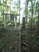 下都賀郡壬生町七ッ石熊野神社