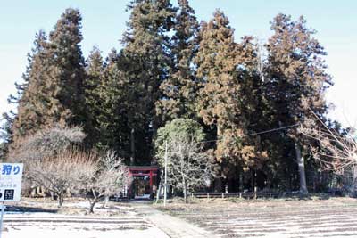 熊野神社遠景