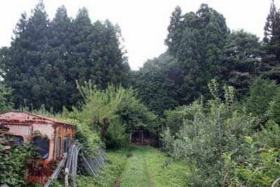 熊野神社鳥居