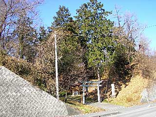 熊野神社遠景