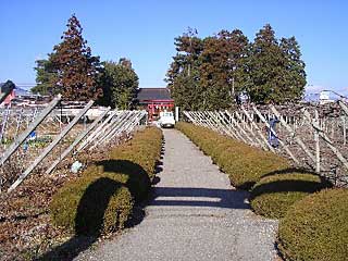 熊野神社遠景