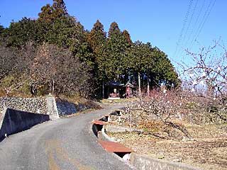 熊野神社遠景