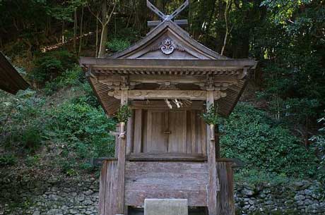 天野神社鳥