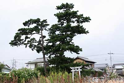 熊野神社遠景