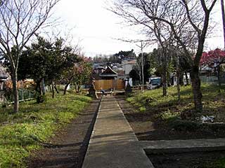 熊野神社参道