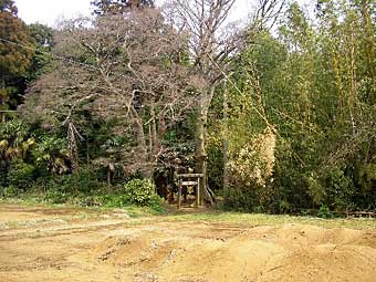 熊野神社遠景