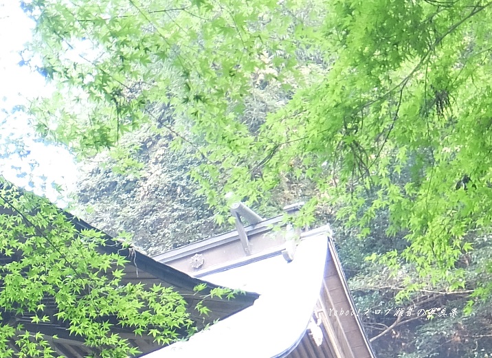 室山熊野神社