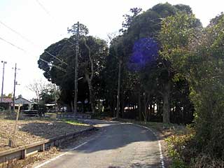 熊野神社遠景