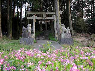 熊野神社鳥居