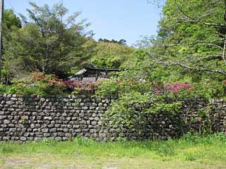 熊野神社遠景