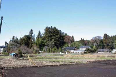 熊野神社遠景