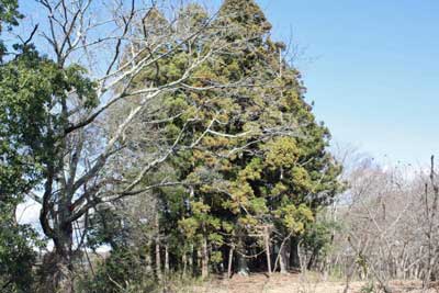 熊野三社遠景