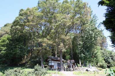 熊野神社遠景