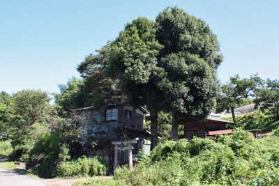 熊野神社遠景