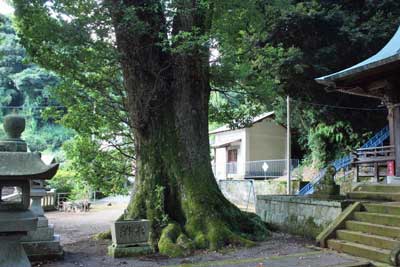 熊野神社境内