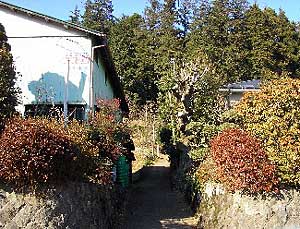 熊野神社参道