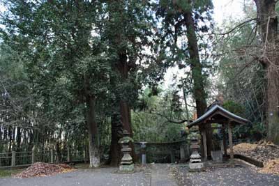 熊野神社境内