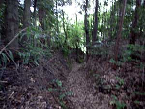 熊野神社抜け道
