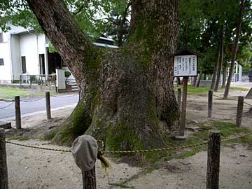 熊野神社鳥居