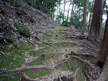 熊野神社参道