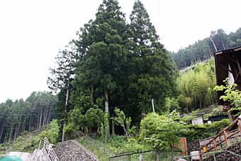 熊野神社遠景