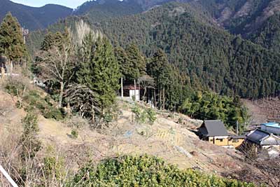 青木神社遠景（雪のない季節）