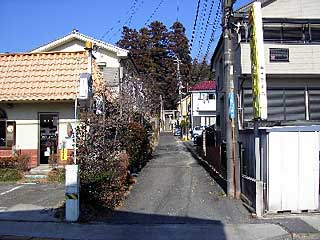 木野下神社遠景