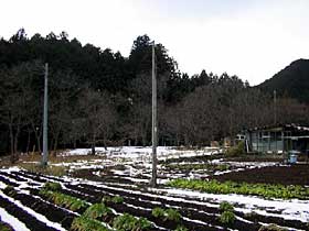 熊野神社遠景