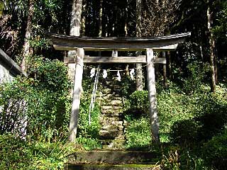 柏木神社鳥居