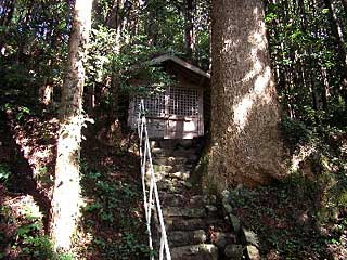 柏木神社拝殿