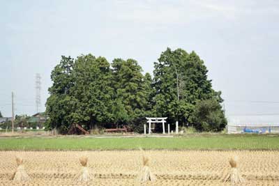 熊野神社遠景