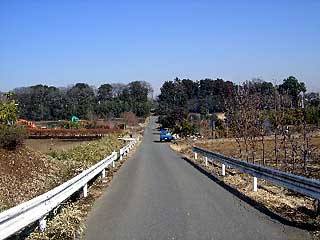 熊野神社周囲