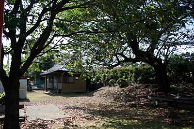 熊野神社境内