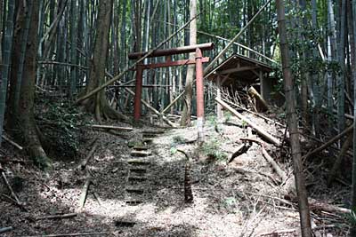 熊野神社遠景