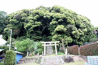 熊野神社遠景