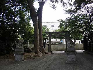 熊野神社境内