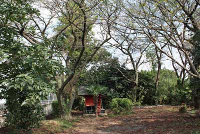 熊野神社境内