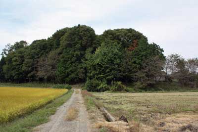 熊野神社遠景