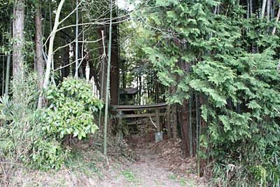 熊野神社遠景